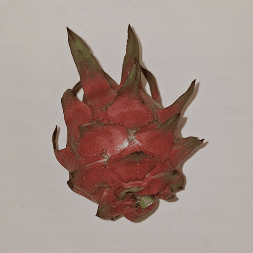 dragon fruit images